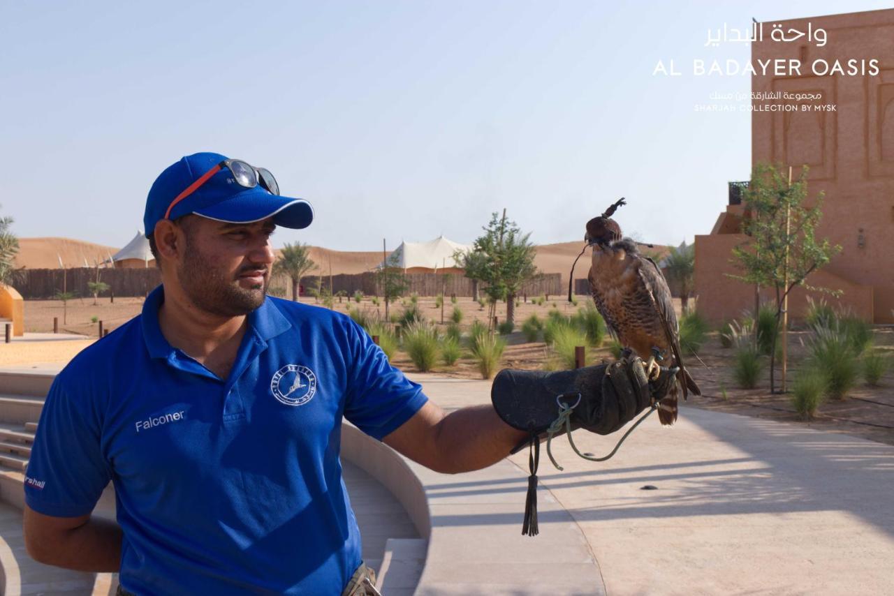 Al Badayer Retreat By Sharjah Collection Hotel Margham ภายนอก รูปภาพ Falconry in Al-Jahili Fort, Al-Ahsa, Saudi Arabia